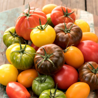 Pomodoro - miscuglio di varietà - Sapori diversi per ogni occasione