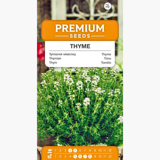 Timo - Aromatico, ideale per piatti di carne - Thymus vulgaris