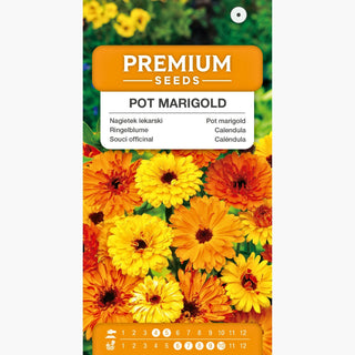 Calendula - Ottima per bordure, la migliore per problemi della pelle - Calendula officinalis