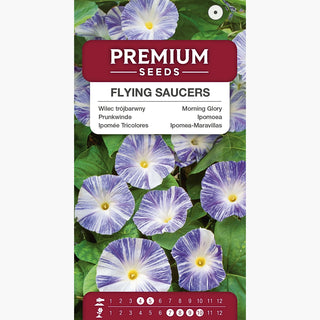 Ipomoea - Flying Saucers (Arlequin) - Fiori originali tricolore - Ipomoea tricolor