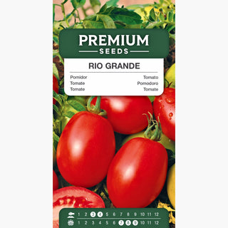 Pomodoro - Rio Grande - Allungato, consistente, ideale per conserve