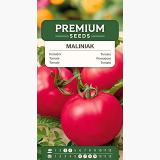 Pomodoro Maliniak - Frutti succosi, facile da coltivare, eccellente fresco e per conserve
