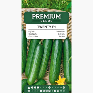 Cetriolo Twenty F1 - Eccellente per insalate, per tunnel e serre