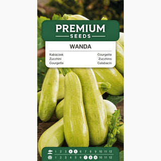 Zucchino Wanda - Varietà precoce ideale per griglia e insalate - Cucurbita pepo