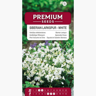 Speronella Cinese Bianco - Fiori imponenti, perenne resistente al freddo - Delphinium grandiflorum