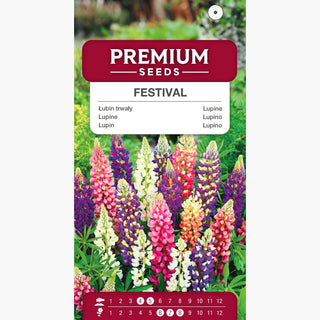 Lupino - Festival - Nana Miscuglio - Varietà ornamentale da giardino - Lupinus polyphyllus