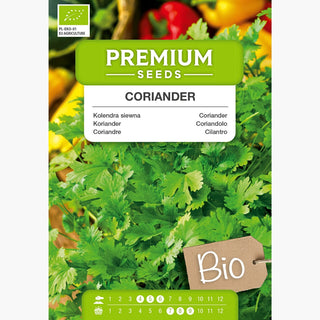 BIO Coriandolo - Ideale per piatti asiatici e messicani - Coriandrum sativum