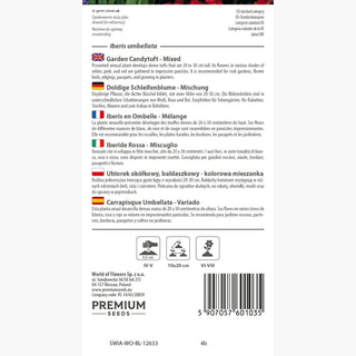 Iberide Rossa - Miscuglio - Annuale, compatto e facile da coltivare - Iberis umbellata