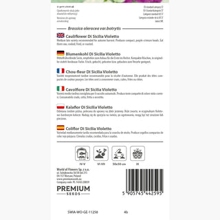 Cavolfiore di Sicilia Violetto - Teste viola attraenti, sapore unico e deciso - Brassica oleracea var. botrytis