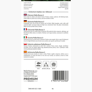 Cicoria Palla Rossa 3 - Ideale per insalate! - freschezza e croccantezza nel piatto! - Cichorium intybus var. foliosum