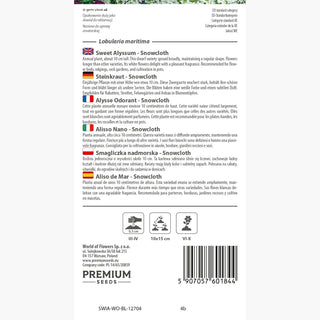 Alisso Nano - Snowcloth - Abbondante di fiori e facile da coltivare - Lobularia maritima