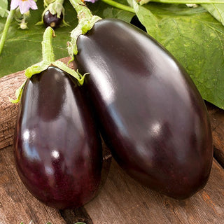 BIO Melanzana Black Beauty - Naturalmente carnoso, perfetto per la griglia - Semi Premium