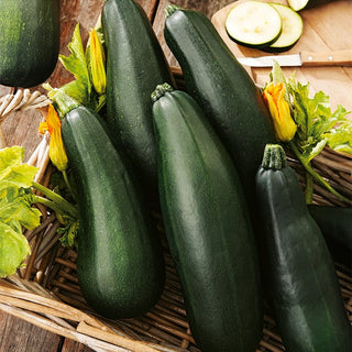 Zucchino Soraya - Alta produttività per tutta l’estate - 100 g