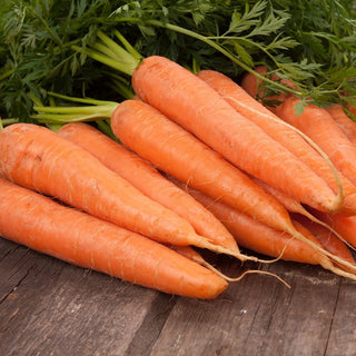 BIO Carota Berlikumer 2 - Varietà biologica abbondante e resistente - Semi Premium