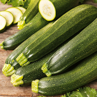 Courgette Zuboda - Early Variety, Quick Yield, Resistant to Low Temperatures - Premium Seeds