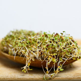 BIO Semi per germogli - Cima di rapa - Leggermente piccanti - molto salutari - Semi Premium