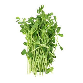 BIO Semi per germogli - Piselli - Germogli rapidi - vitamine pronte in 3 giorni - Semi Premium