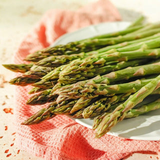 Asparago - Mary Washington - Tradizionale, produttiva e gustosa varietà - Asparagus officinalis - Semi Premium