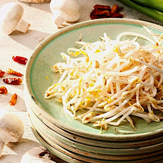 BIO Semi per germogli - Fagiolo Mungo - Croccante successo della cucina asiatica - Semi Premium
