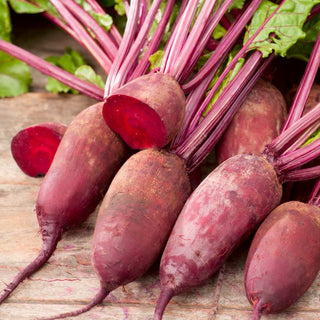 Bietola da orto - Renova - Varietà produttiva e affidabile - 500 g