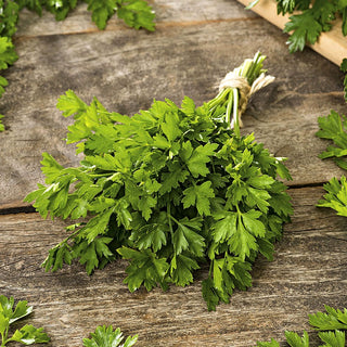 Prezzemolo Gigante D'Italia - Foglie grandi e aromatiche, crescita rapida - 100 g