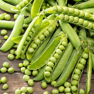 Piselli Sześciotygodniowy - Solo 6 settimane fino al raccolto - Busta Gigante - 1 kg