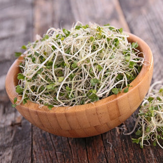BIO Semi per germogli - Broccolo - Sostegno naturale alle difese immunitarie - Semi Premium