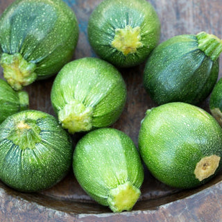 Courgette Zucchini Tondo di Piacenza - Spherical Shape, Perfect for Frying and Stewing - Premium Seeds