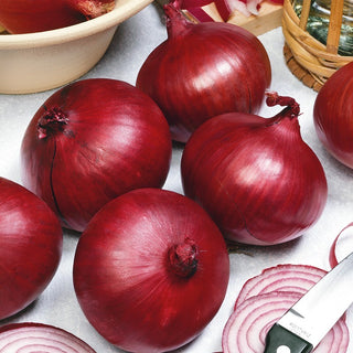 Cipolla - Karmen - Bellissimo colore rosso, sapore dolce e delicato - Busta Grande - 100 g