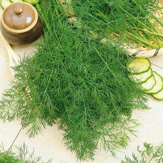 Aneto Hanak - Varietà precoce dal sapore intenso
