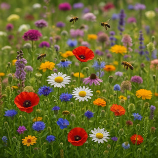 Miscuglio di piante selvatiche amiche delle api - Il buffet della natura per tutti gli impollinatori - Confezione Mega - 500 g