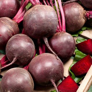 Red Ball Beetroot - Pelleted Seeds - Perfect for Preserves and Juices, Rich in Vitamins - Beta Vulgaris - Premium Seeds