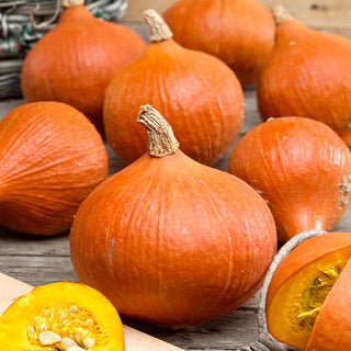 BIO Zucca Uchiki Kuri - Varietà giapponese, ideale per la cottura al forno - Semi Premium