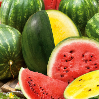 Anguria - miscuglio di varietà - Mix colorato di varietà di frutti succosi
