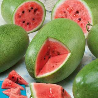 Watermelon Charleston Gray - Huge, Sweet Fruits, a Delight for the Palate - Citrullus lanatus - Premium Seeds