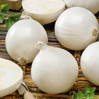 Onion Avalon - Delicate and Mild, Exquisite Flavour for Everyone - Allium cepa - Premium Seeds