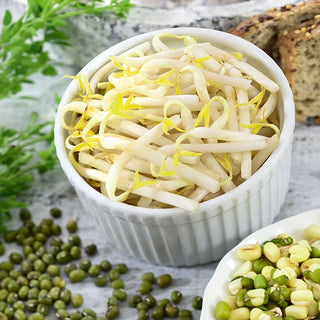 BIO Semi per germogli - Fagiolo Mungo - Ricchezza universale di salute - Busta Grande - 250 g - Semi Premium