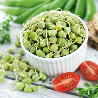 Piselli - Semi per germogli - Dolce fonte naturale di fibre - 500 g - Semi Premium