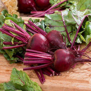 Barbabietola Bona - Famosa e apprezzata, resistente e produttiva - 500 g