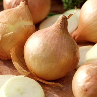 Cipolla Globo - Succosa, grande, delicata