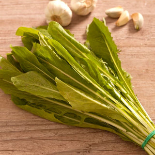 Cicoria - Spadona - Foglie delicate, succose e fresche
