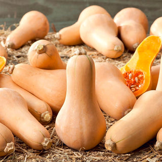 Zucca - Waltham Butternut - Sapore di nocciola e consistenza cremosa