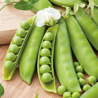 Piselli Mangiatutto Iłówiecki - Varietà precoce a baccelli grandi - 500 g