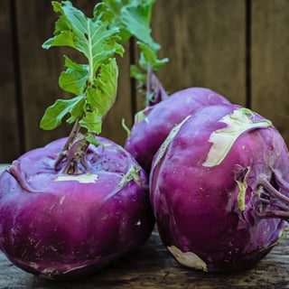 Cavolo rapa - Delikatess Blauer - Delicata, succosa e biologica - Semi Premium