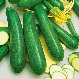 Zucchino - Diamant F1 - Varietà affidabile per l’orto per tutta la stagione