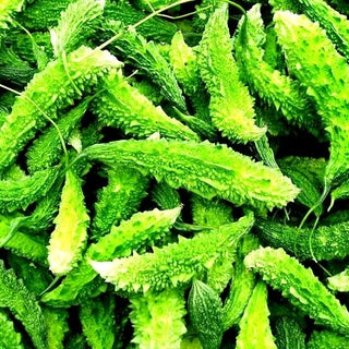 Zucca Amara - Fresca croccante ideale per insalate - Momordica charantia