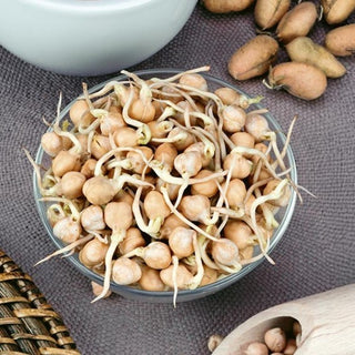 Semi per germogli - Ceci - Alto valore nutritivo, sapore di nocciola - Cicer - Semi Premium