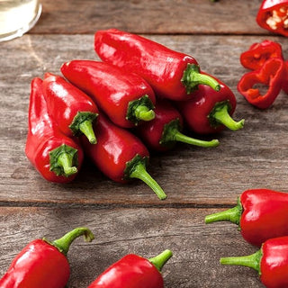 Peperoncino Jalapeno - Classica, piccante dal sapore deciso