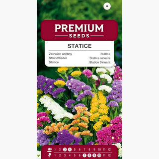 Statice miscuglio - Esplosione floreale di colori - Limonium sinuatum