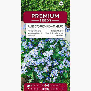 Non Ti Scordar Di me blu - Decorazione affascinante per bordure e giardini rocciosi - Myosotis alpestris